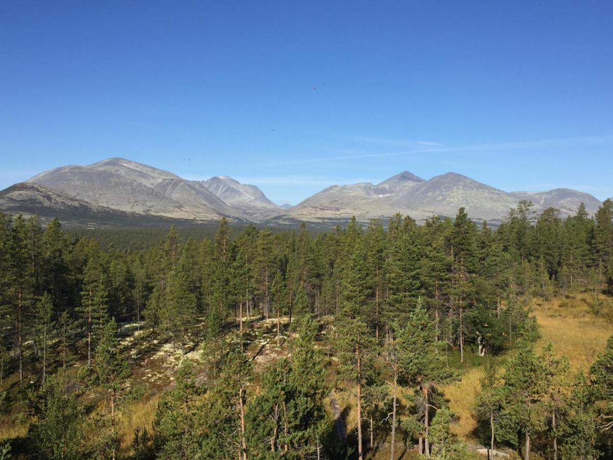 Rondane Sollia Friluftsliv Ovre Nordli Βίλα Εξωτερικό φωτογραφία