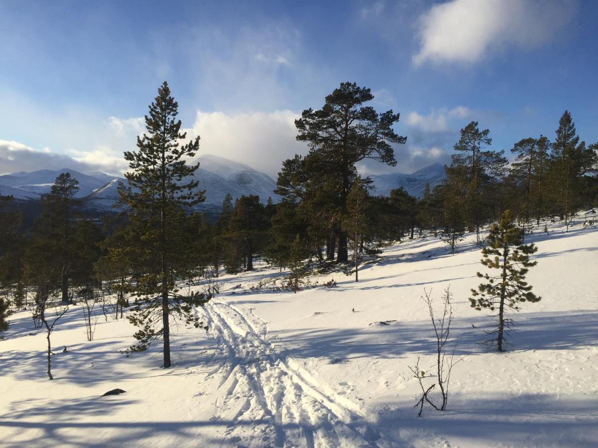 Rondane Sollia Friluftsliv Ovre Nordli Βίλα Εξωτερικό φωτογραφία